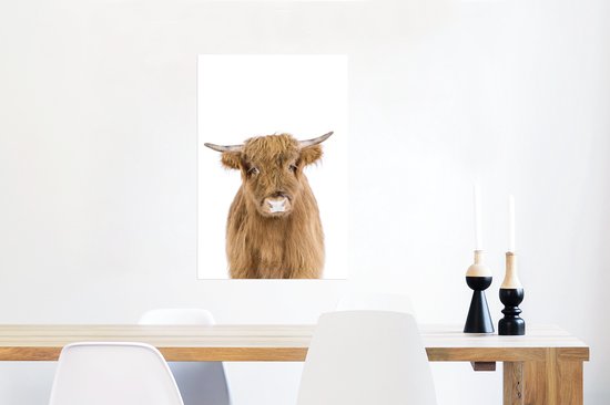 Highlander écossais - Animaux - Marron - Nature