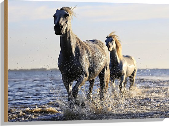 Hout - Rennende Paarden door het Lage Zeewater - 80x60 cm - 9 mm dik - Foto op Hout (Met Ophangsysteem)