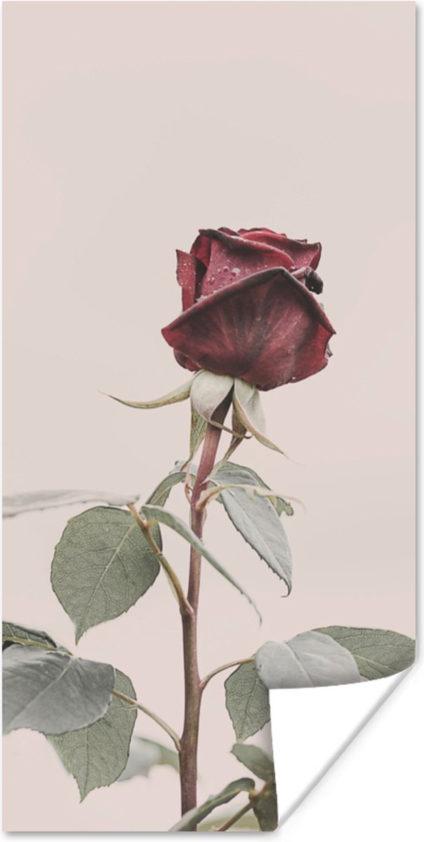 Poster Bloemen - Rood - Rozen - Groen - 60x120 cm