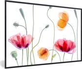 Posters nature - Fleurs - Coquelicot - Wit - Affiche avec cadre - Affiche murale - Décoration murale - 30x20 cm