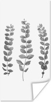Poster Plantes - Feuilles - Nature - Wit - 40x80 cm