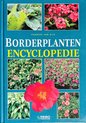 Geillustreerde borderplanten encyclopedie