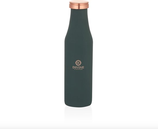 Geïsoleerde RVS Waterfles 500ml/750ml - Lekvrij en BPA-vrij - Perfect