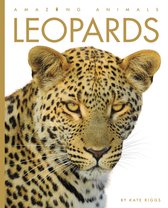 Amazing Animals- Leopards