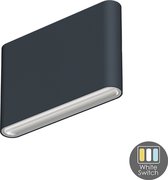 WANDLAMP PLAT - Industrieel - Antraciet - 2x6W - CCT - Voor binnen en buiten - Up/Downlight - 135x90x30,5 MM - IP65
