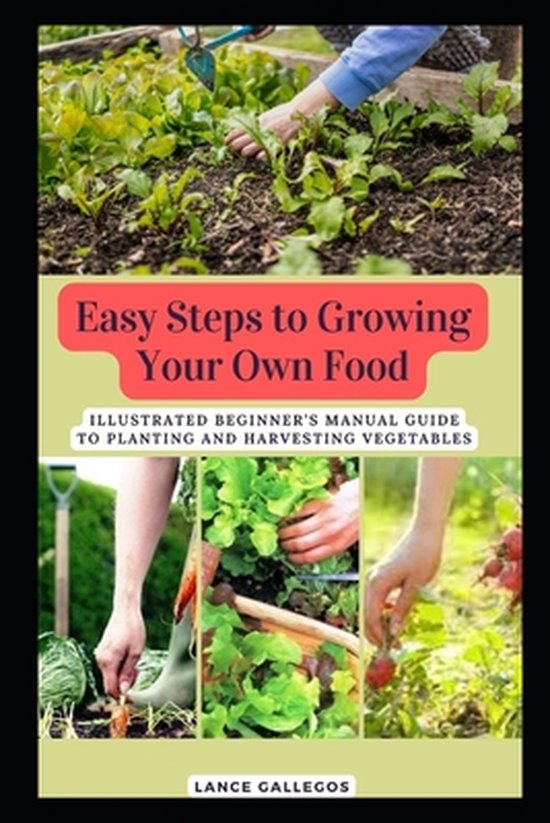 Easy Steps To Growing Your Own Food Illustrated Beginners Manual