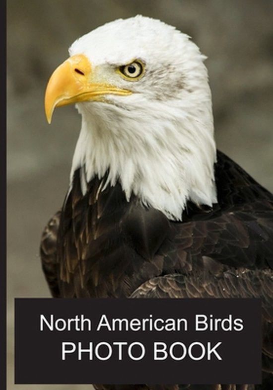 Photo Books- North American Birds Photo Book - cover