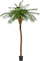 Phoenix Palm Toef - kunstplant
