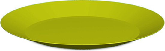 8x assiettes petit-déjeuner/dîner en plastique dur 26 cm en vert. Vaisselle  Plein air... | bol.com