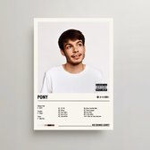 Rex Orange County Poster - Pony Album Cover Poster - Rex Orange County LP - A3 - Rex Orange County Merch - Muziek