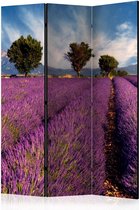 Walljar - Vouwscherm - Lavender field in Provence, France [Room Dividers]