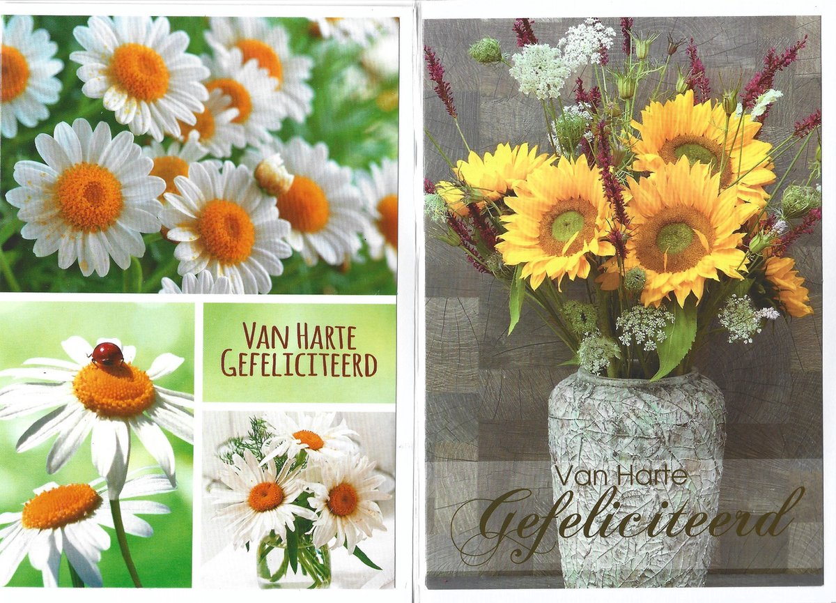 Verjaardagskaarten. Wenskaart met enveloppen. 10 stuks