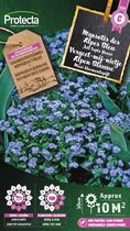 Protecta Bloemen zaden: Vergeet-mij-nietje Alpen Blauwe