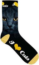 sokken black cat eyes polyester zwart maat 37-42