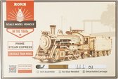 Studio Jacqui 3D-Model Trein- Bouwpakket Stoomlocomotief - Bouwpakketten Volwassenen en Kinderen - Building Kit - Hout Puzzel - Zonder lijm - 1:80 - 308 Stukjes