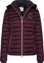 HV Polo Jack Feline L Very Berry