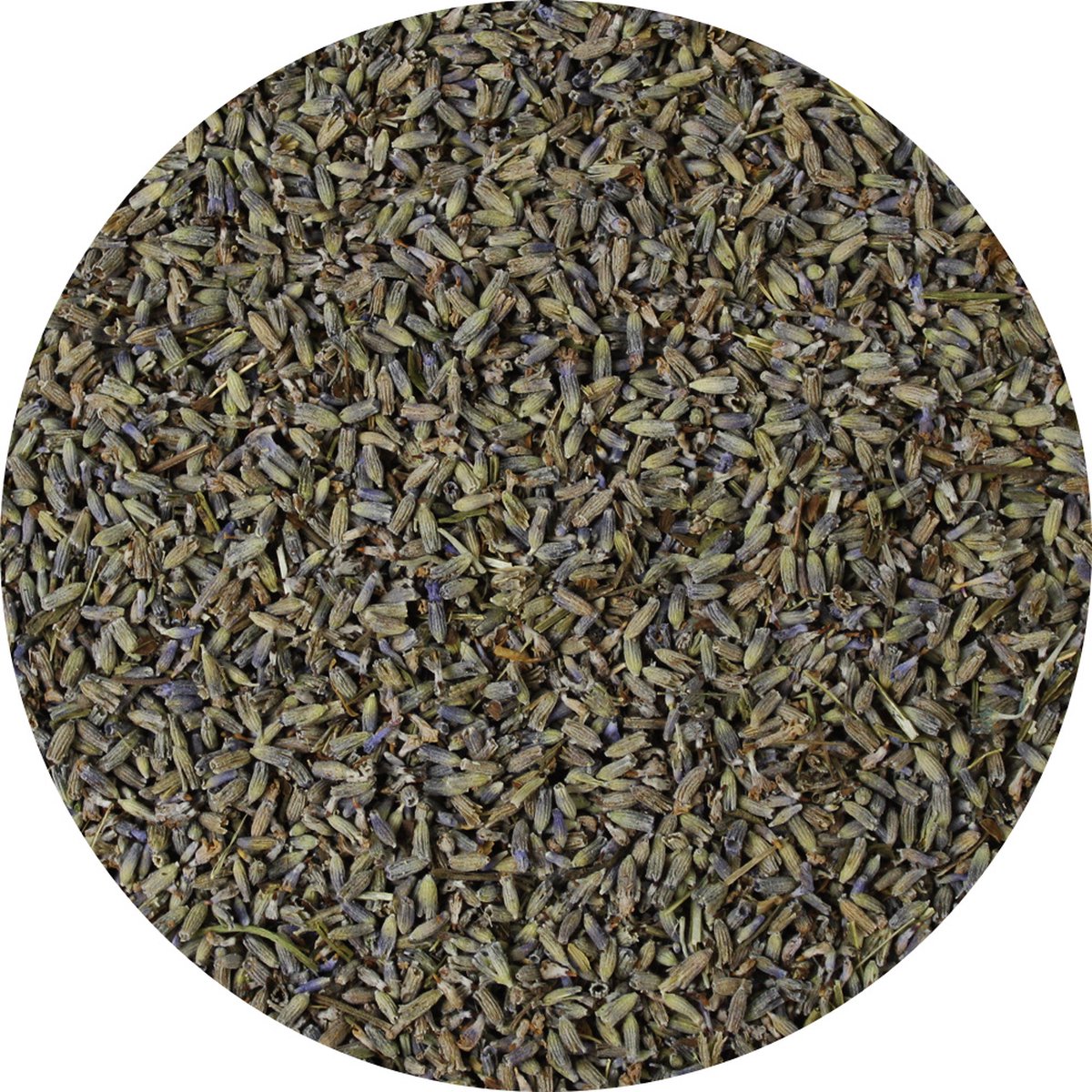 Goedkoopste Van Beekum Specerijen - Lavendel Gedroogd - 5 KG - Zak (bulk verpakking