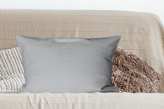 Coussins Coussins décoratifs - Oreillers Salon - 60x40 cm - Intérieur - Grijs - Clair