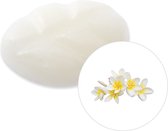 Scentchips® Plumeria geurchips - XL doosje 38 geurchips