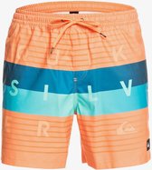 Quiksilver M Word Block Volley 17 Swimshort 2020