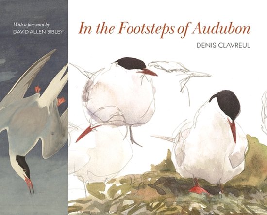 In the Footsteps of Audubon - cover