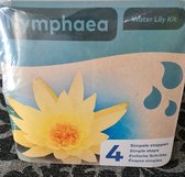 Moerings - Droogverpakking vijverplant - Nymphaea waterlelie Geel