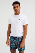 WE Fashion Heren zwemshort met dessin