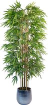 Delicino Bamboe Kunstplant - Nep Planten Bamboo Groot - Plant Voor Binnen En Buiten - Decoratie - 180 × 80 cm