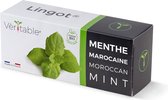 Véritable® Lingot® Organic Maroccan Mint - MAROKAANSE MUNT  navulling voor alle Véritable® binnenmoestuin-toestellen