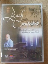 Ton Koopman - Bach Cantatas