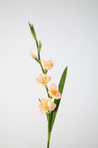 Kunstbloem Gladiool - topkwaliteit decoratie - Peach Zalm - zijden tak - 97 cm hoog