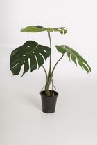 Kunstplant Split Philo - topkwaliteit decoratie - Groen - zijden tak - 60 cm hoog