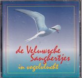 De Veluwsche Sanghertjes in vogelvlucht - De Veluwsche Sanghertjes o.l.v. Gijs en Anne-Marieke Evers