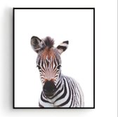Jungle Zebra / Jungle / Safari / 30x21cm