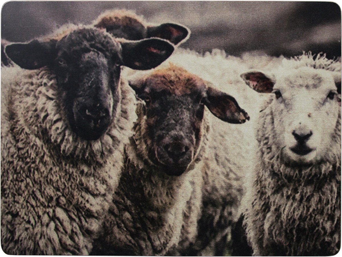 Placemat schapen nieuwsgierig (set van 4)