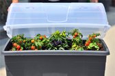 Couvercle transparent pour propagateur - effet de serre - fermeture bac à fleurs - pot de germination