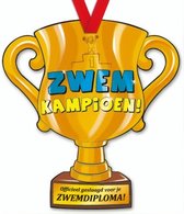 trofee Zwemkampioen 33 cm karton goud