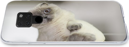 Coque Huawei P40 Lite - Chat - Animal - Salon - Coque de téléphone en Siliconen