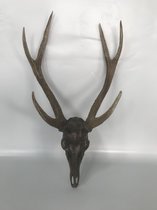 Decoratief beeld wanddecoratie- Deer head /  Hertenkop – 41 x 23 x 70.5 cm – Bruin