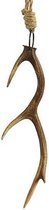 hanger hertengewei Bolivar 26,5 cm polyresin naturel