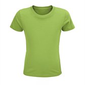 T-shirt kinderen - Apple Green - 12 jaar