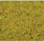 NOCH 8310 Strooigras Zomer weide Groen (gemiddeld)