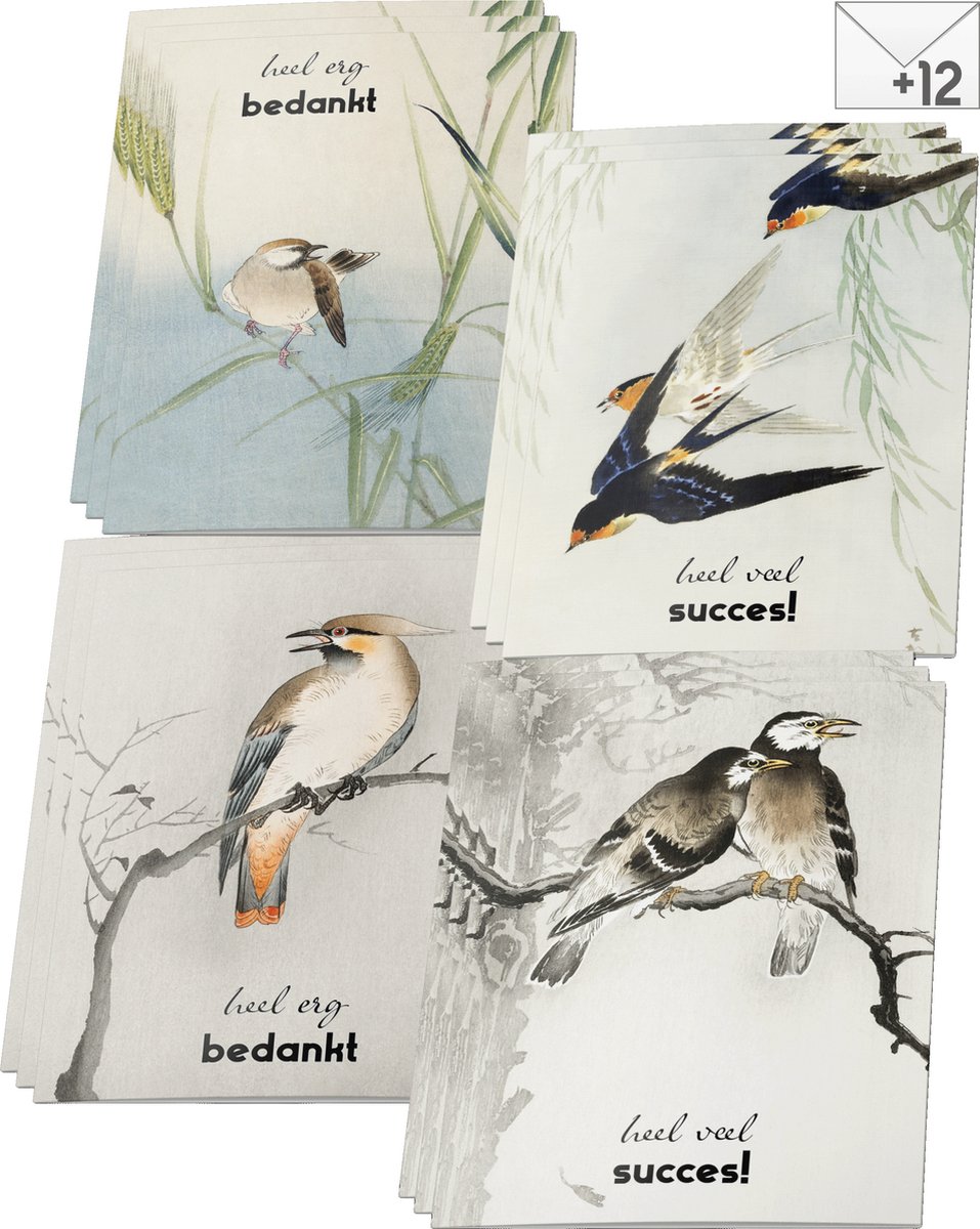 Wenskaartenset Bedankt & Succes - 12 dubbele wenskaarten met vogelprenten - met enveloppen - Heel veel succes & heel erg bedankt