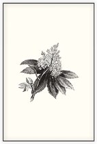 Paardenkastanje zwart-wit (Horse Chestnut Flower) - Foto op Akoestisch paneel - 150 x 225 cm