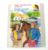 Peggy S Paardenpension Springt Bij