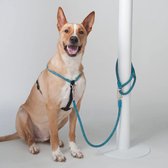 H5D (High5Dogs) Clic Leash Hondenriem / Hondenlijn - Nylon - Blauw - Diameter 7 mm - Lengte 140 cm - Geschikt voor honden tot 7 kg.