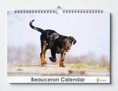 Beauceron kalender 35x24 cm | Verjaardagskalender Beaceron honden | Verjaardagskalender Volwassenen