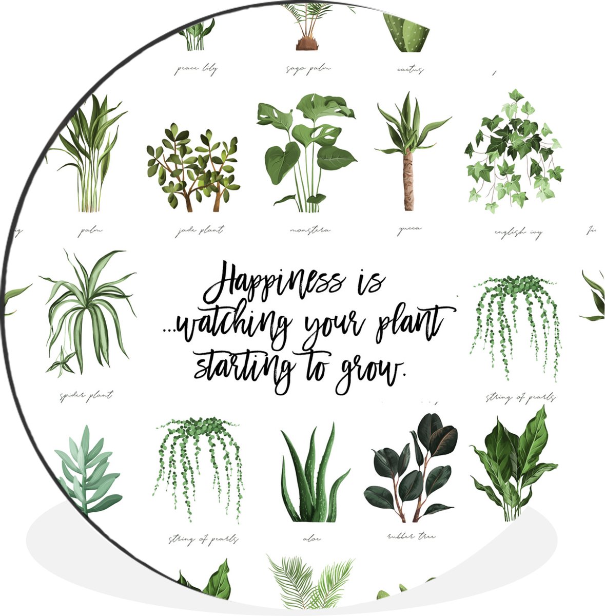 WallCircle Wandcirkel - Muurcirkel - Quotes - Happiness is... watching your plant starting to grow - Spreuken - Aluminium - Dibond - 30x30 cm - Binnen en Buiten Multicolor