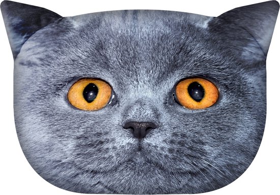 Bertoni - Design sierkussen met kat motief Sierkussen met verborgen ritssluiting en vulling Sierkussen Leon