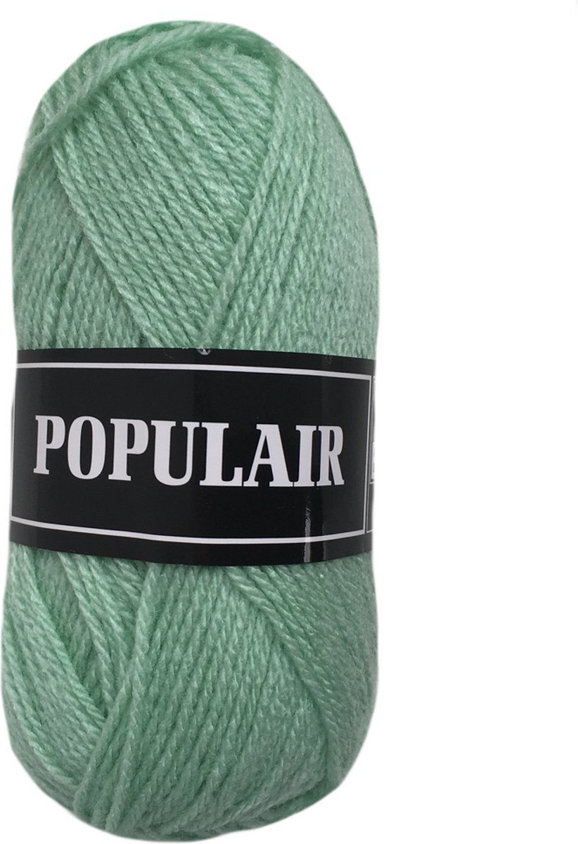 Beijer BV Populair acryl breigaren/haakgaren - mint (98) - 5 bollen